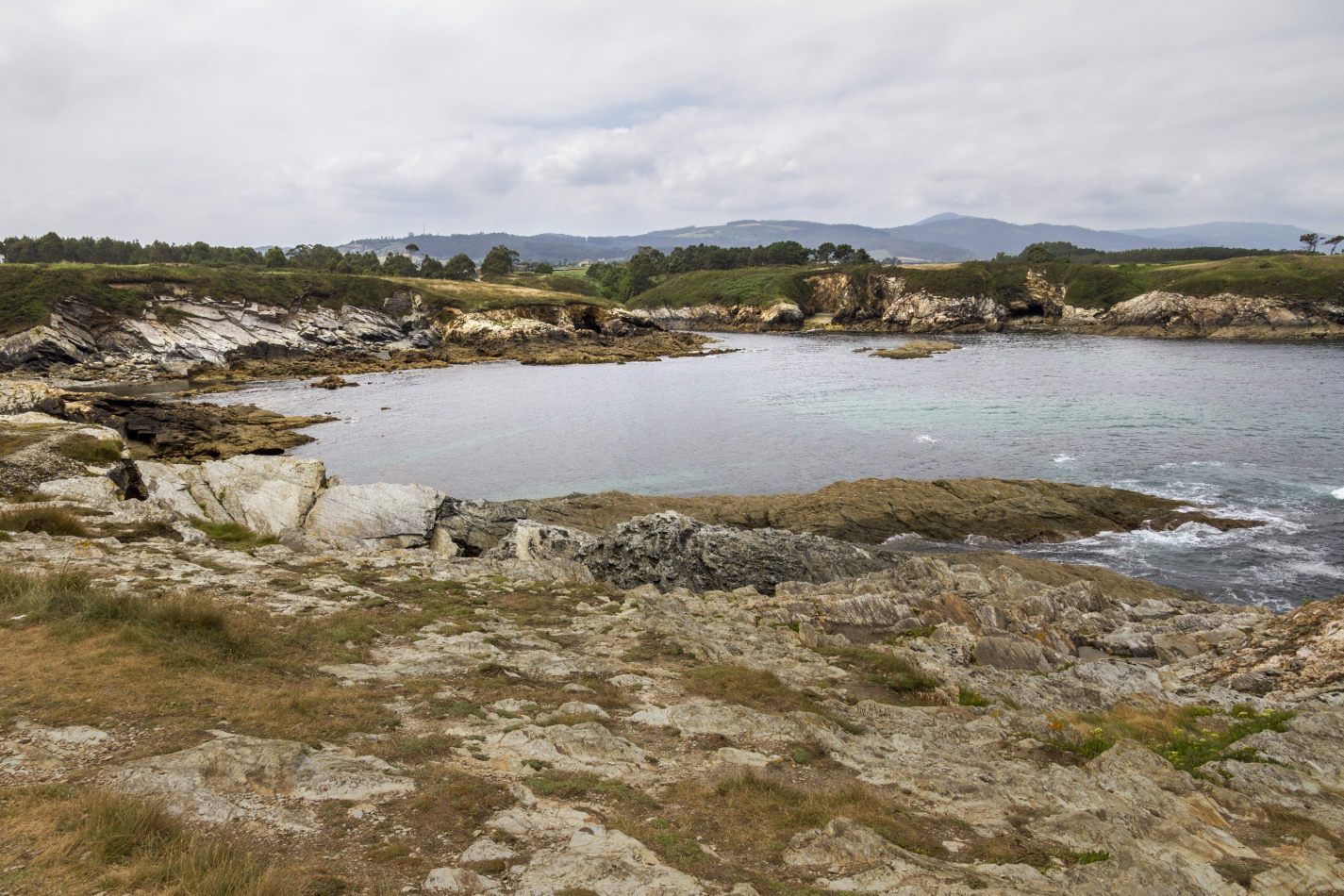 Storvandre: Illa Pancha