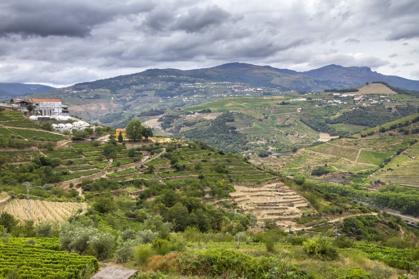 Storvandre: Douro Valley