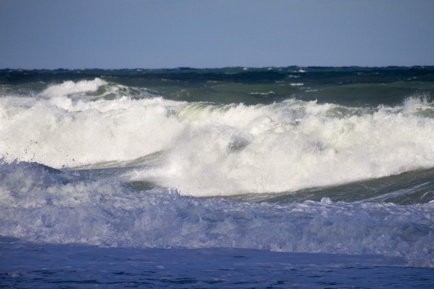 Storvandre: Polignano