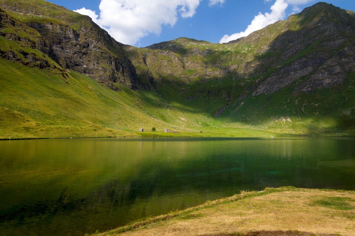 Storvandre: Ritom Lake