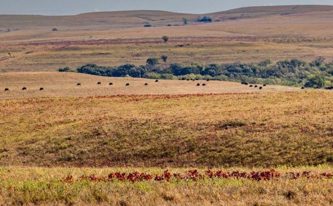 Topeka to Manhattan  KS