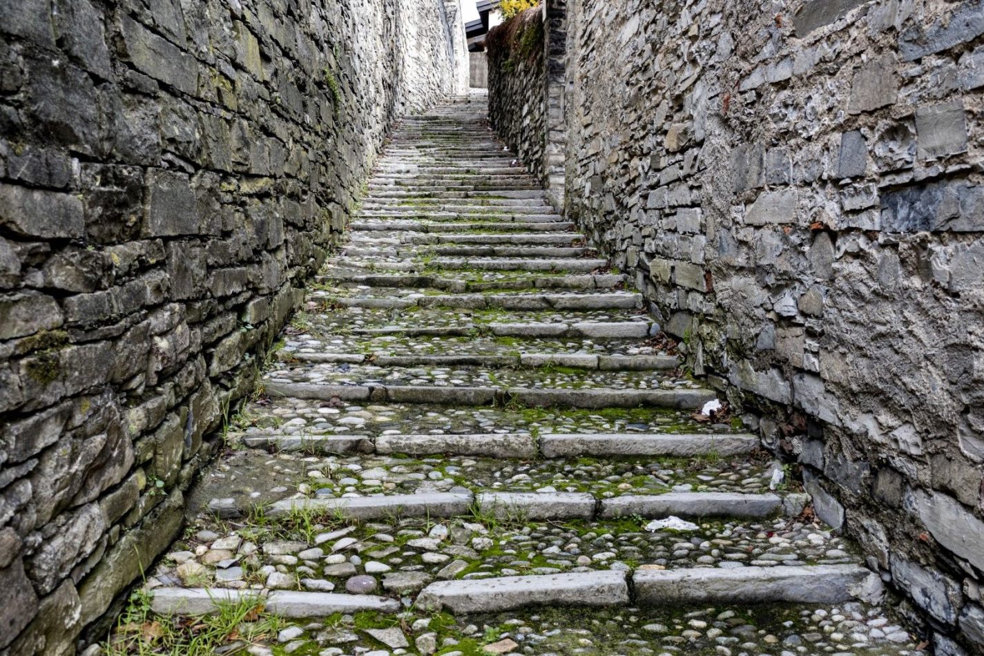 Storvandre: Carate Urio