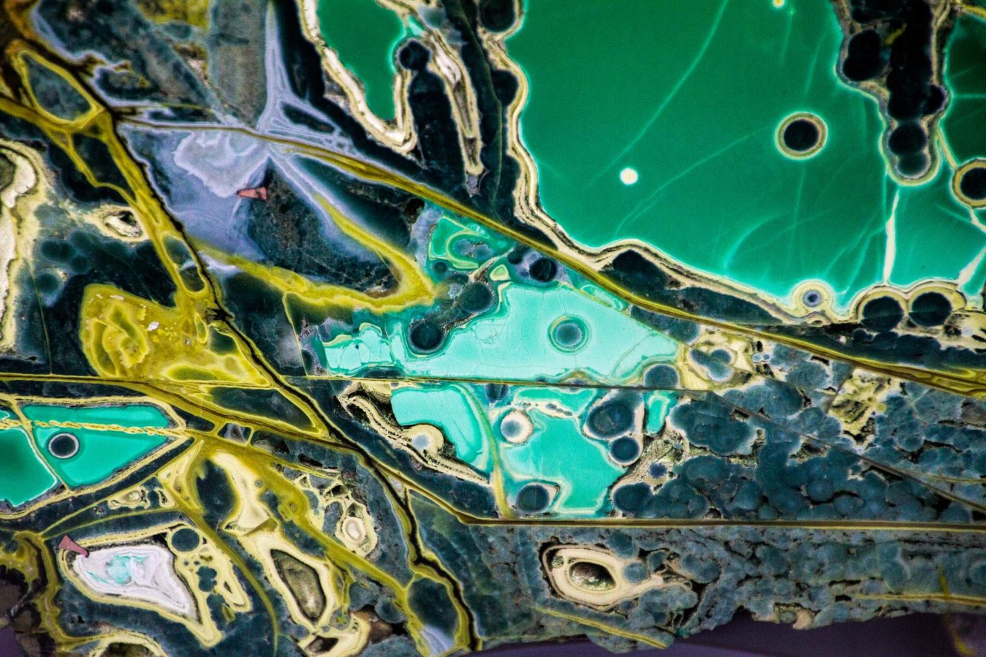 Storvandre: Natural History Museum