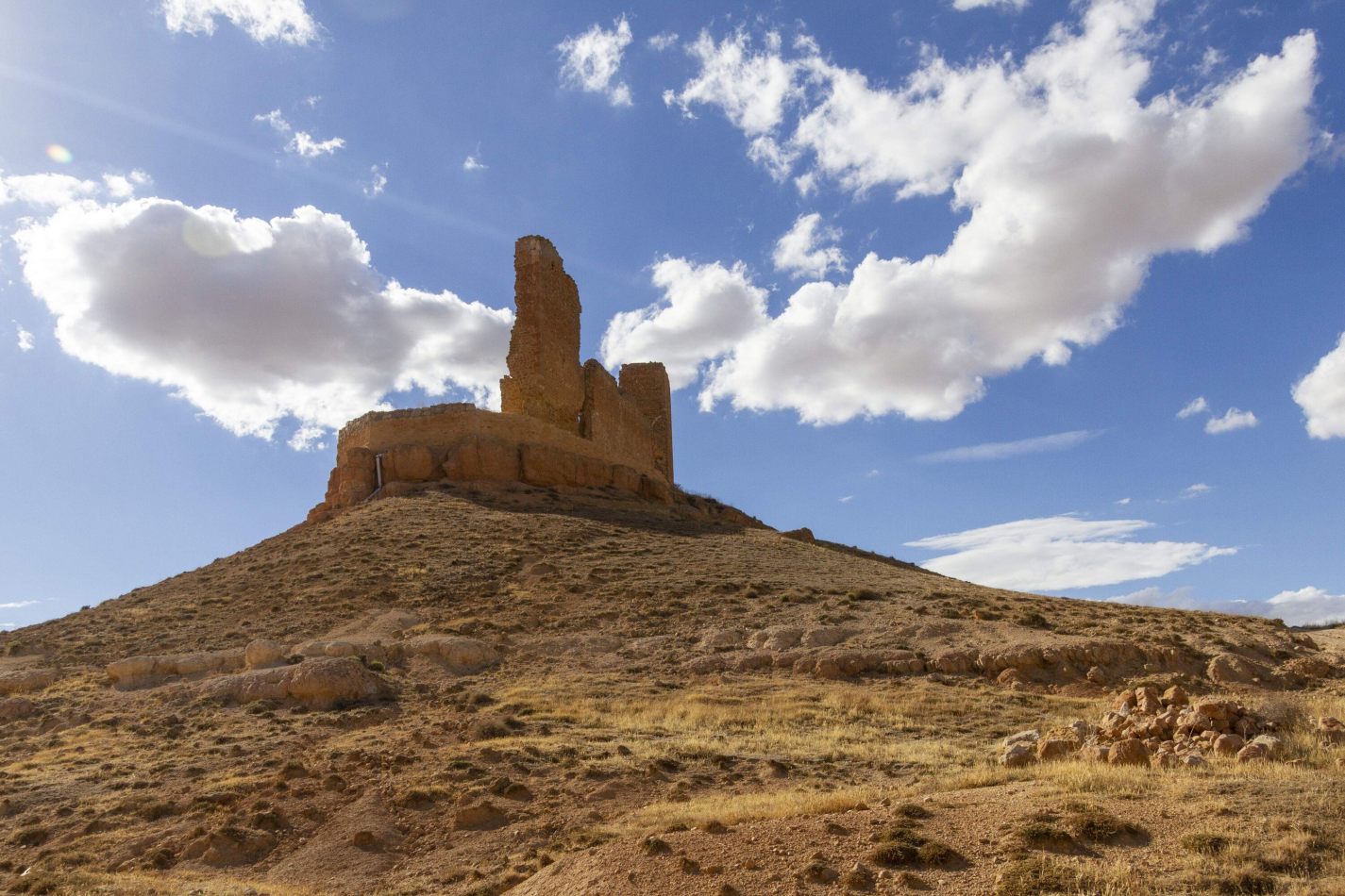 Storvandre: Montuenga