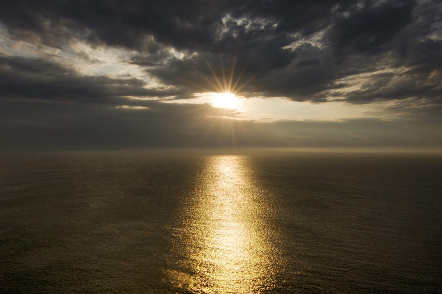 Storvandre: Cap de la Hague