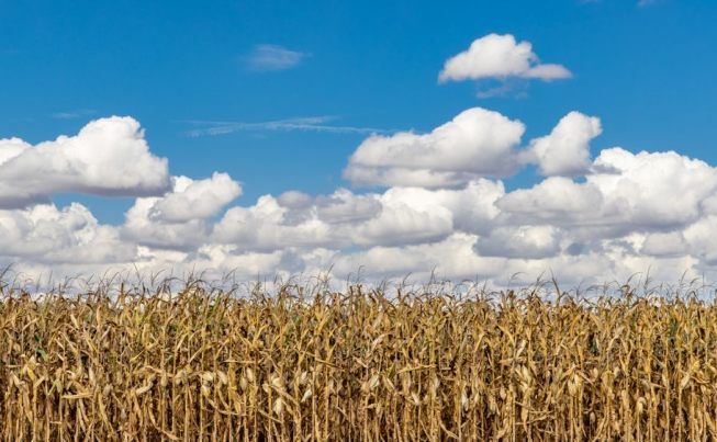 Cedar Rapids Amana Colonies