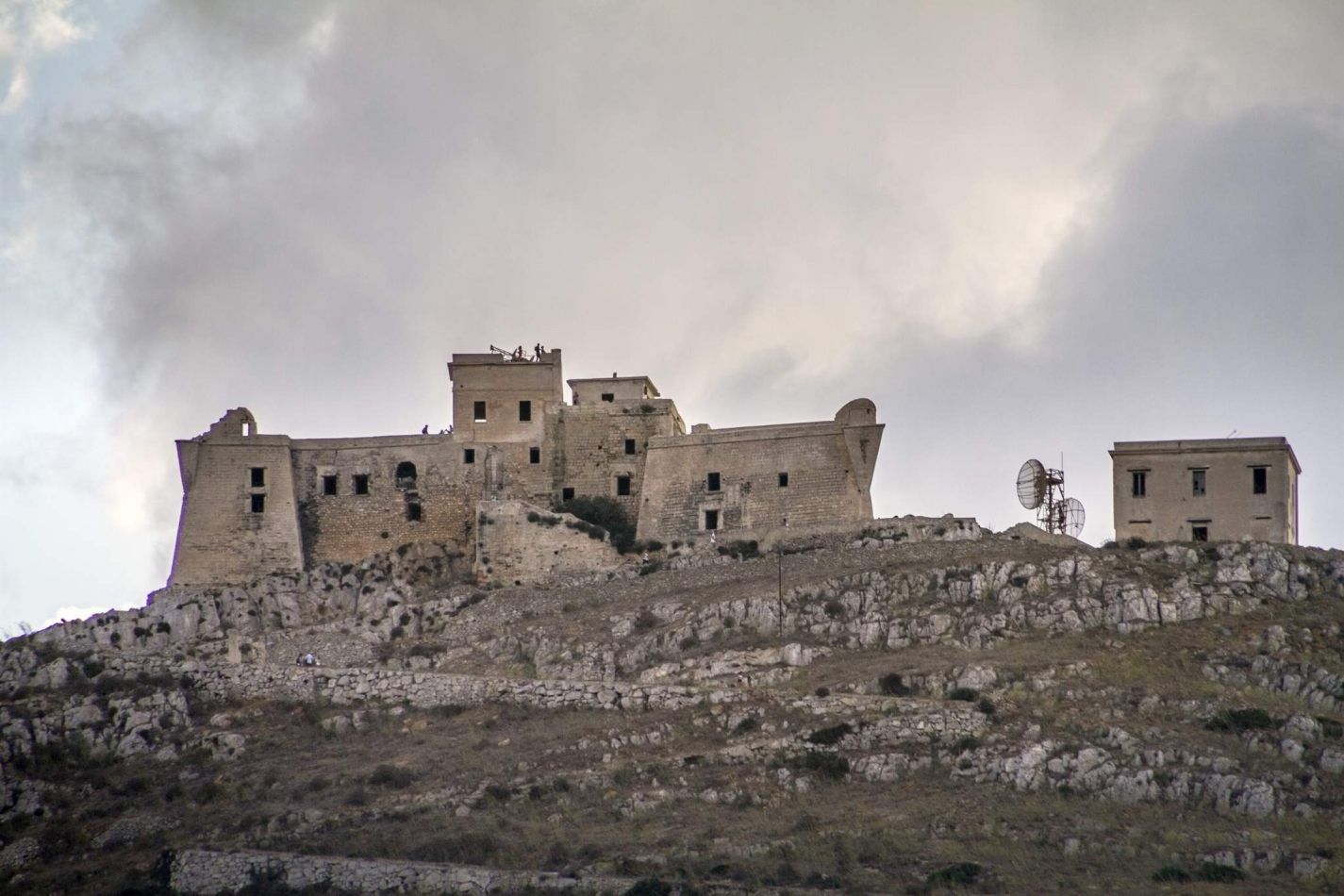 Storvandre: Favignana