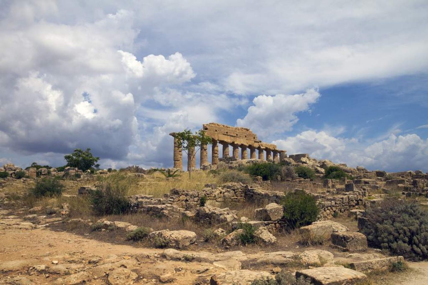 Storvandre: Selinunte