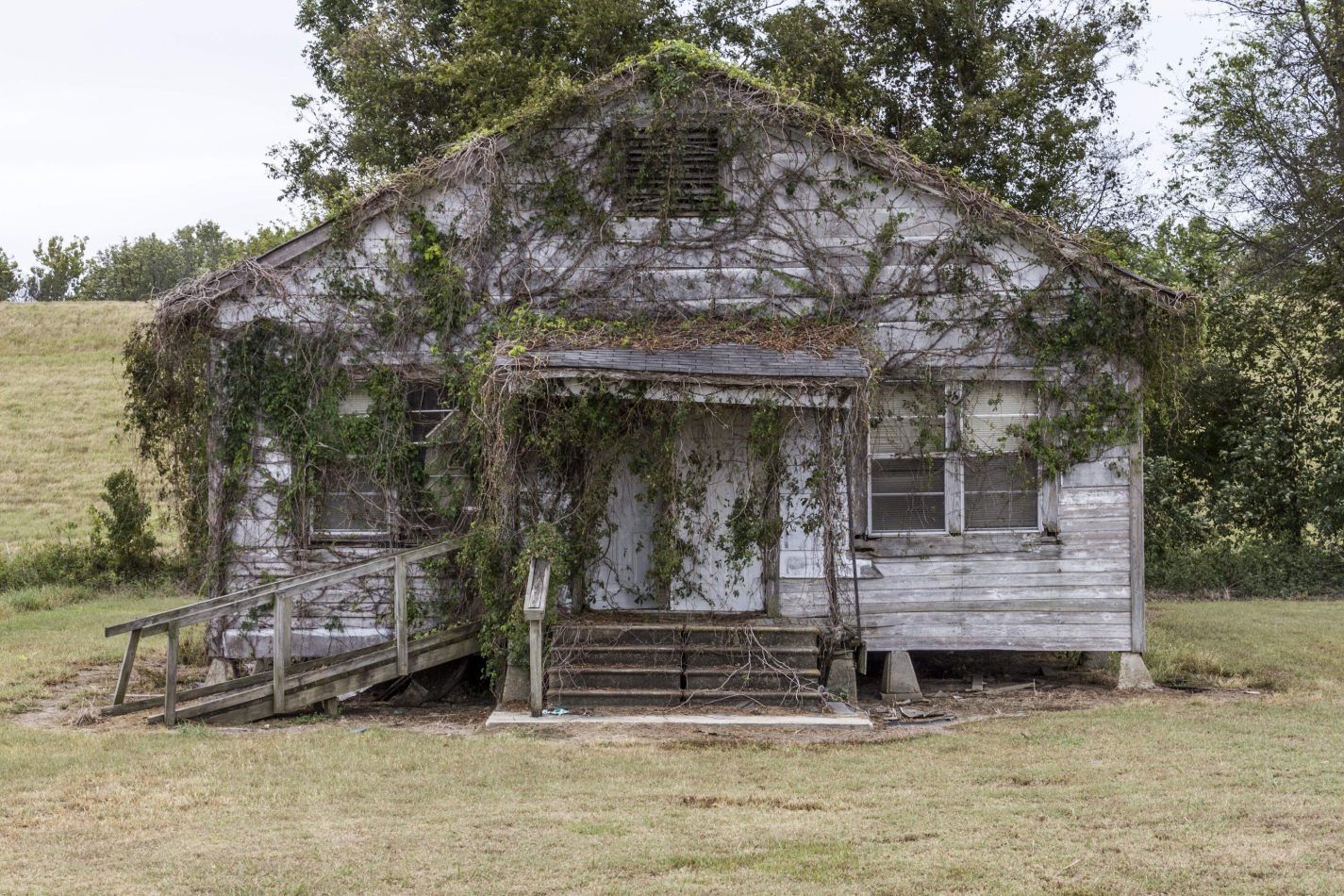 Storvandre: New Orleans