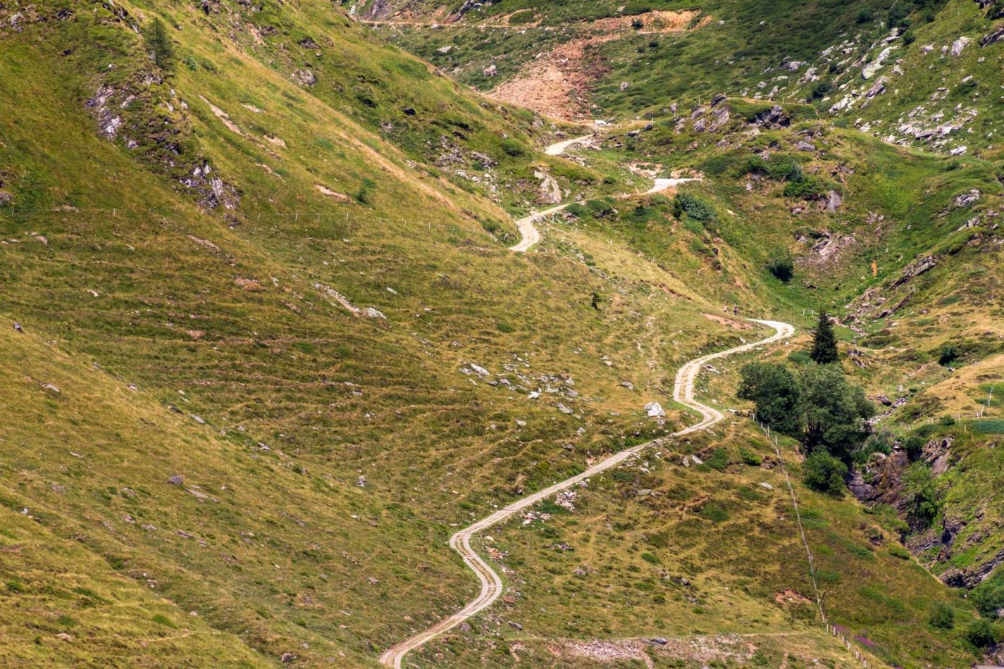 Storvandre: Ritom Lake