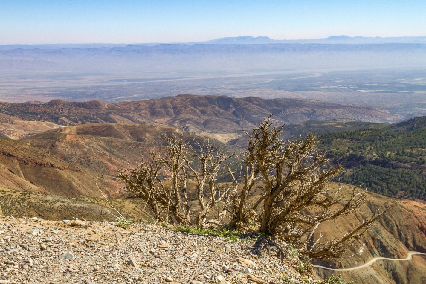 Storvandre: Tizi n Test Pass