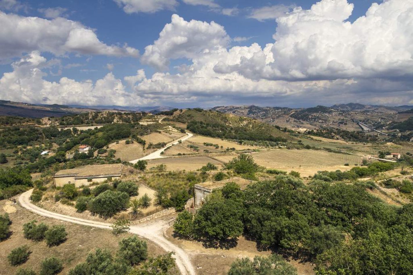 Storvandre: Sperlinga