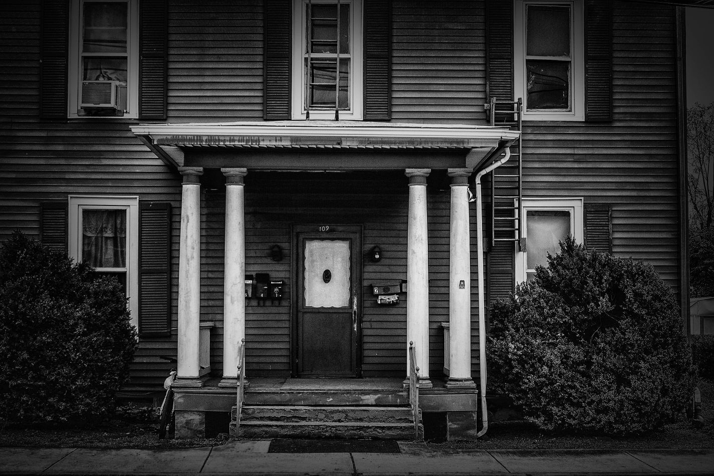 Storvandre: Virginia