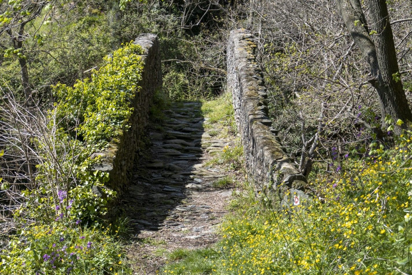 Storvandre: Archaeological trail