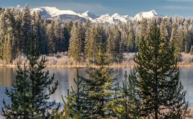 Whitefish to Gardiner