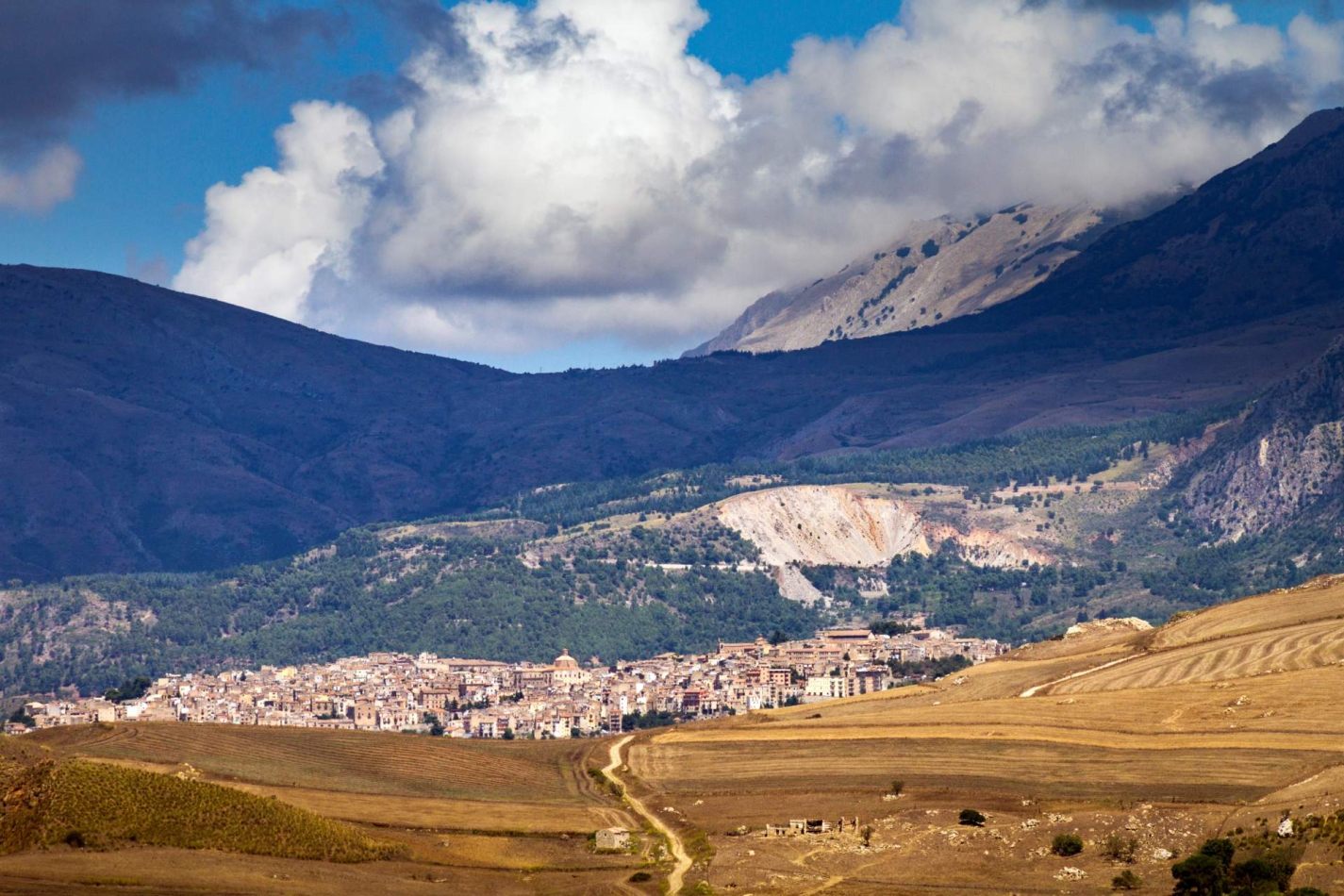 Storvandre: Petralia