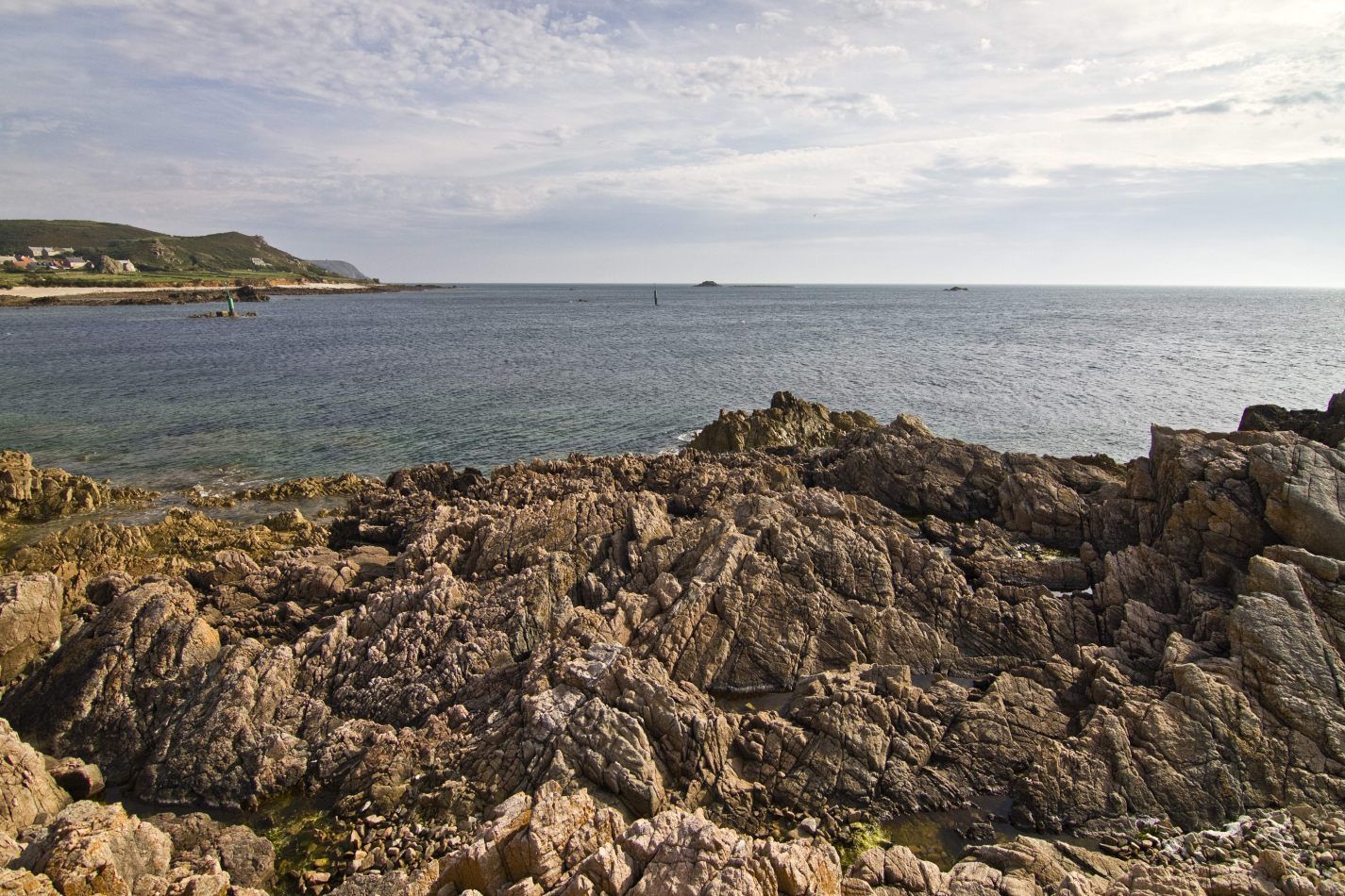 Storvandre: Cap de la Hague