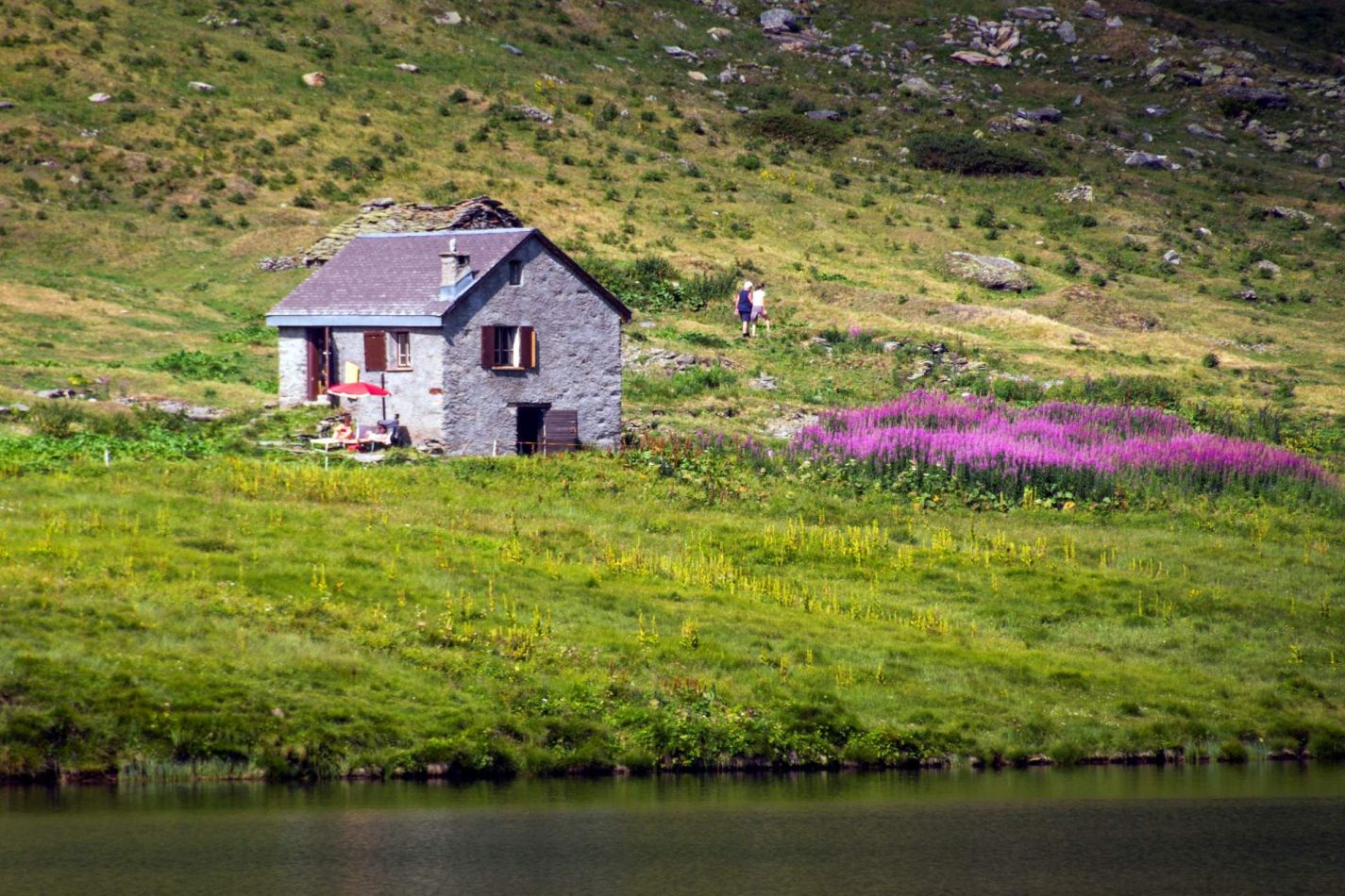 Storvandre: Ritom Lake