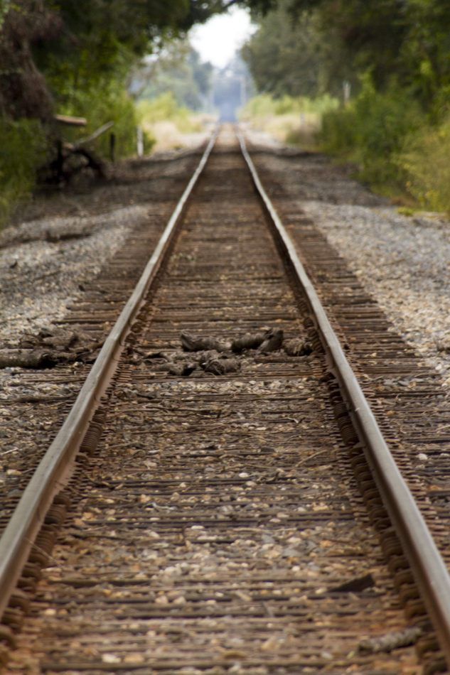 Storvandre: New Orleans