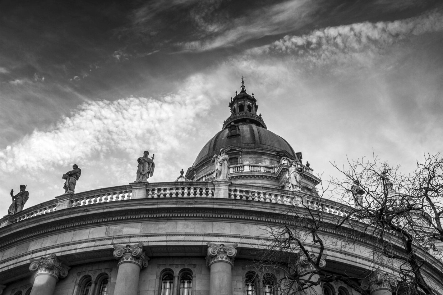 Storvandre: Budapest