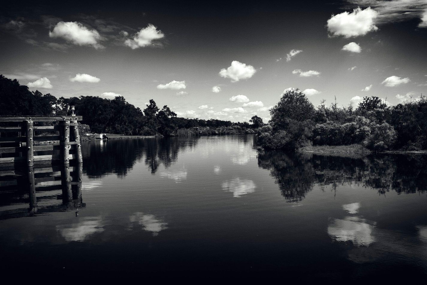 Storvandre: New Orleans