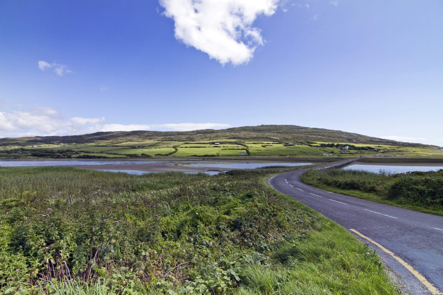 Storvandre: Mizen Head