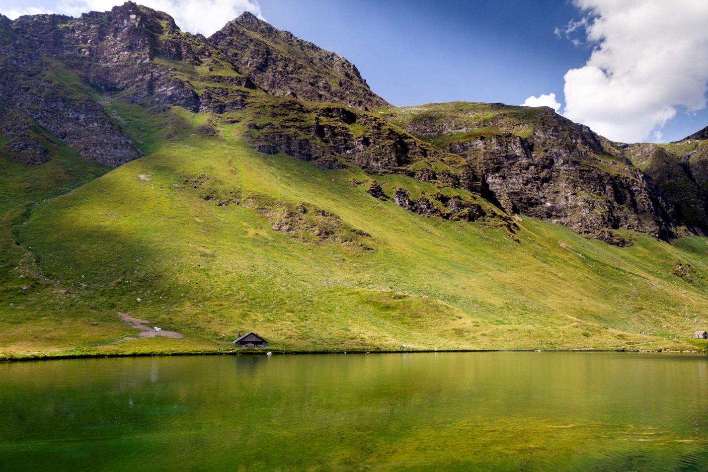 Storvandre: Ritom Lake