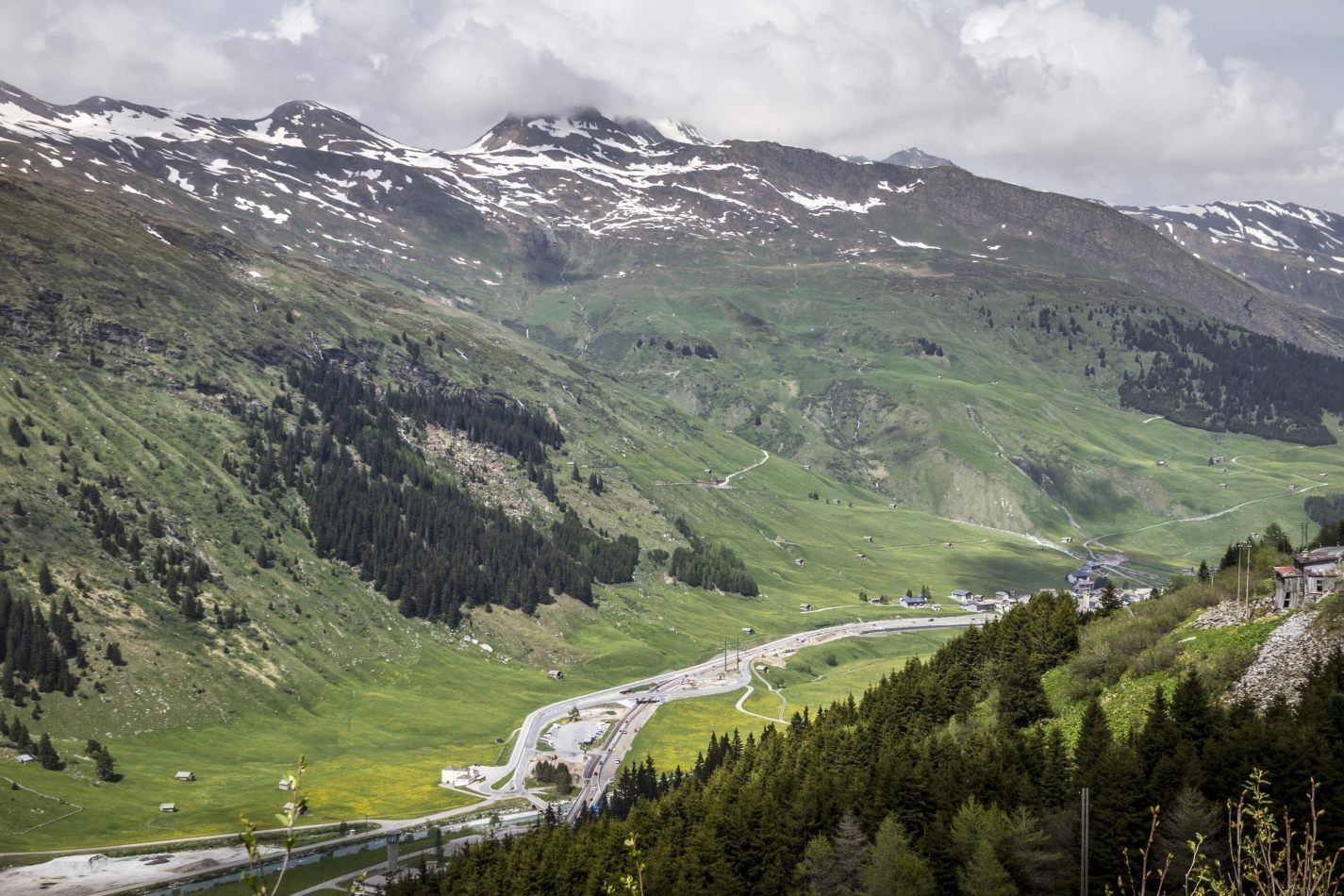 Storvandre: San Bernardino