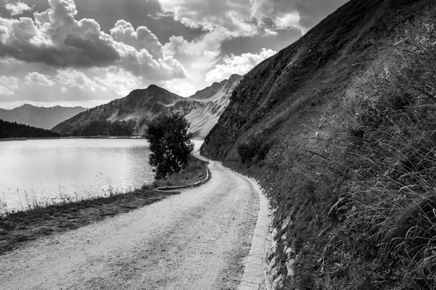 Storvandre: Ritom Lake