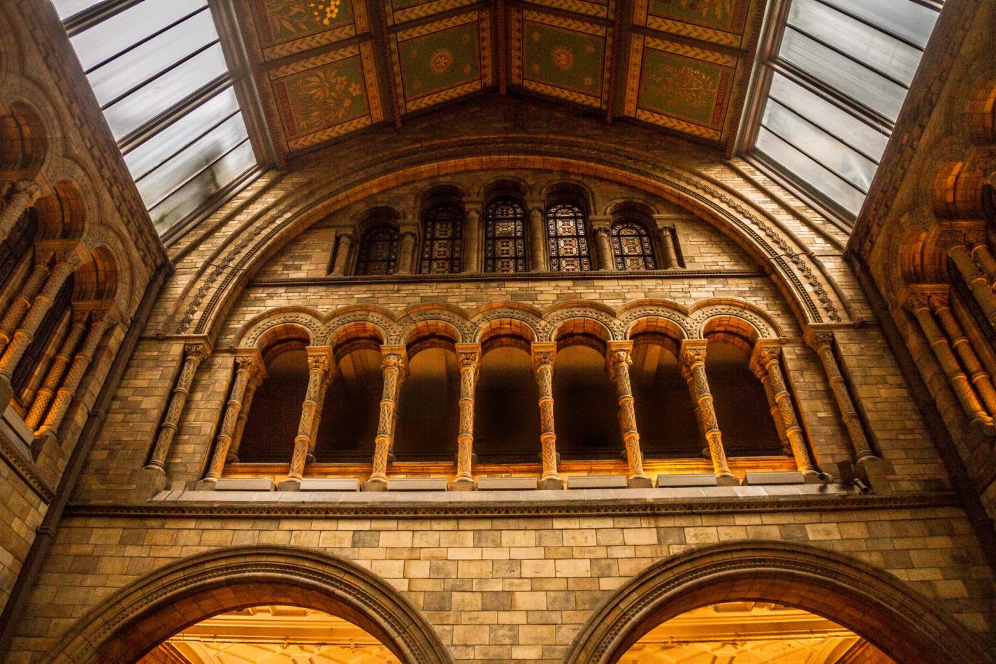 Storvandre: Natural History Museum