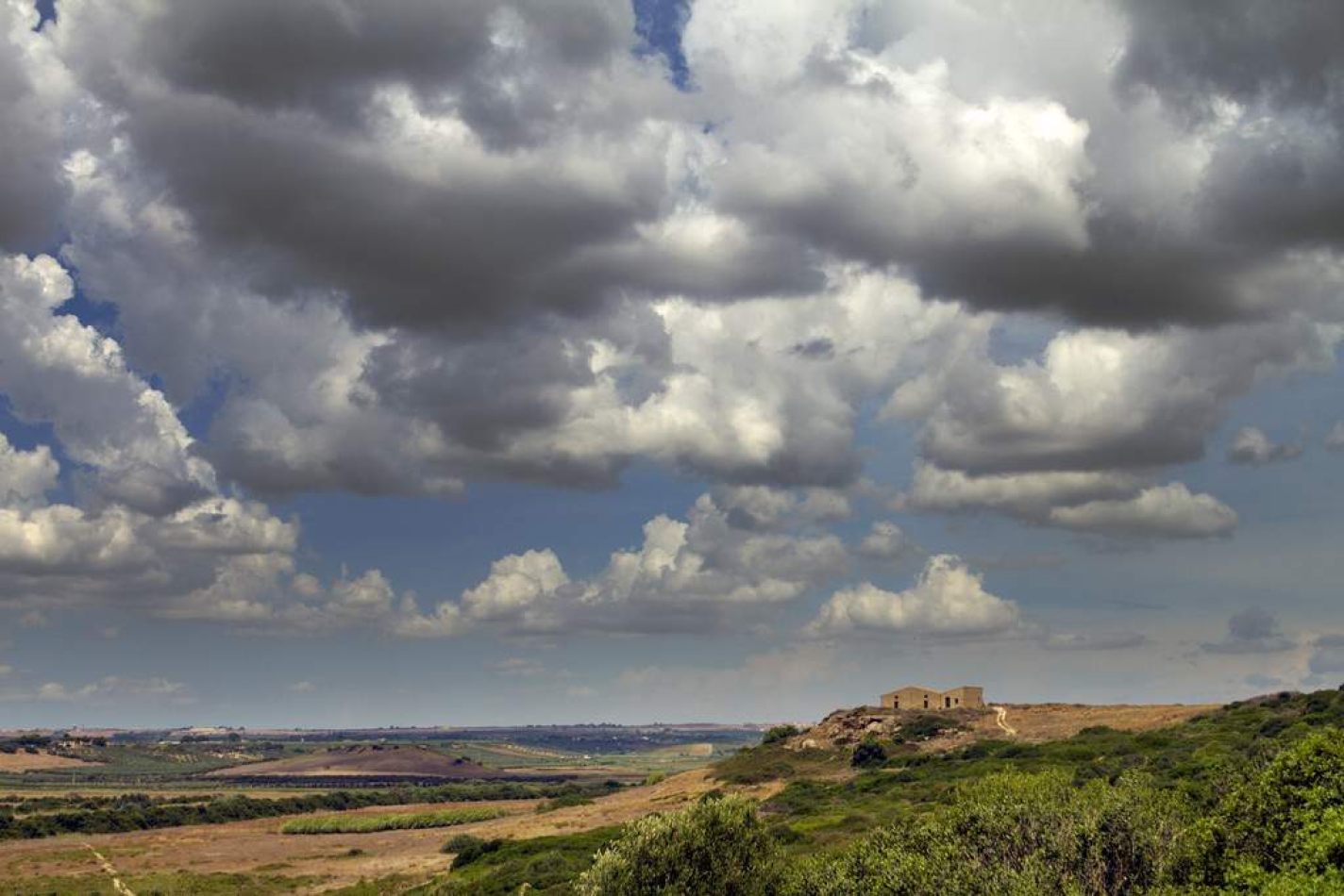 Storvandre: Selinunte