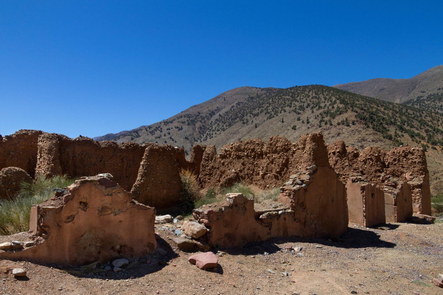 Storvandre: Tizi n Test Pass