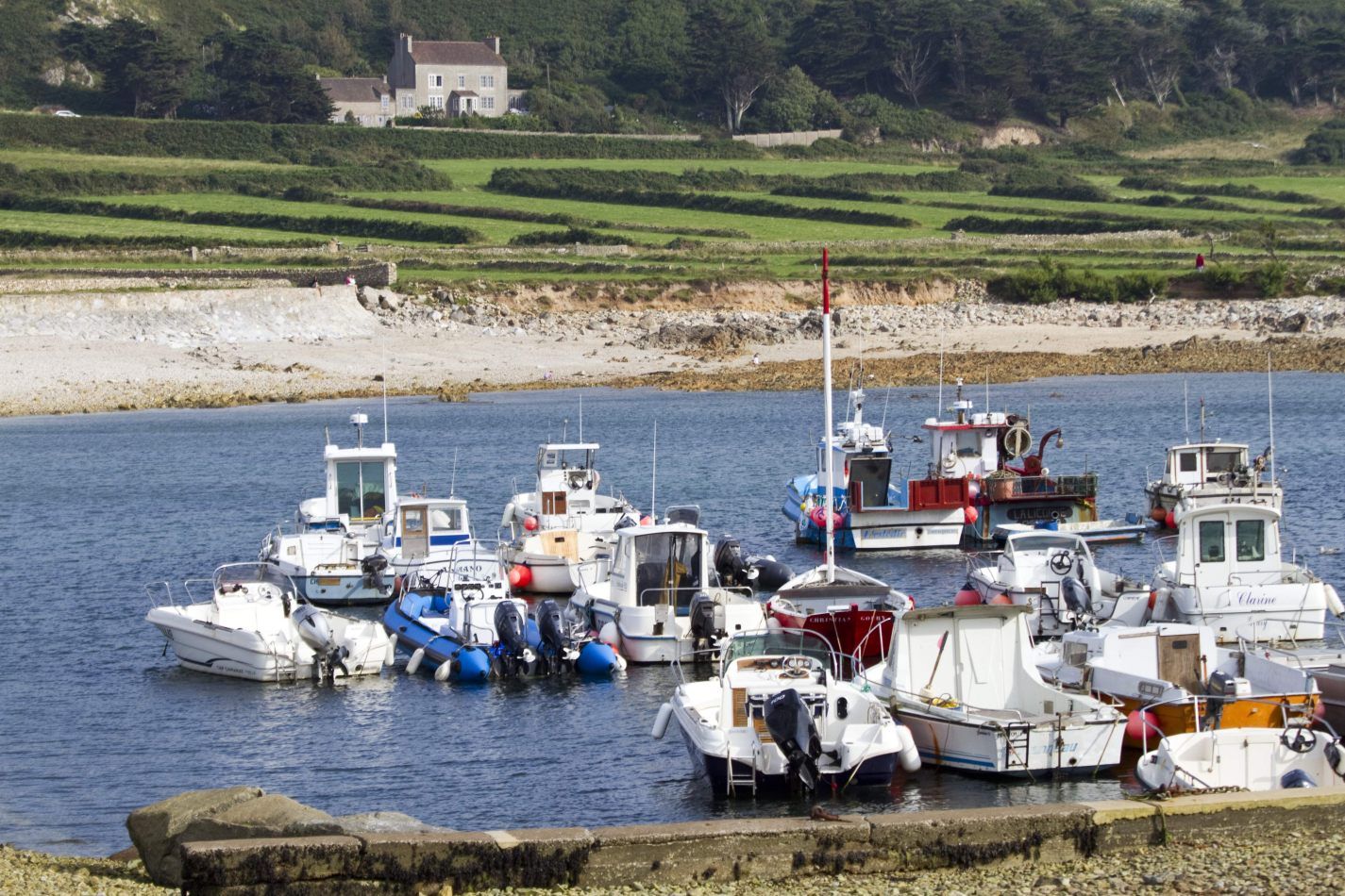 Storvandre: Cap de la Hague