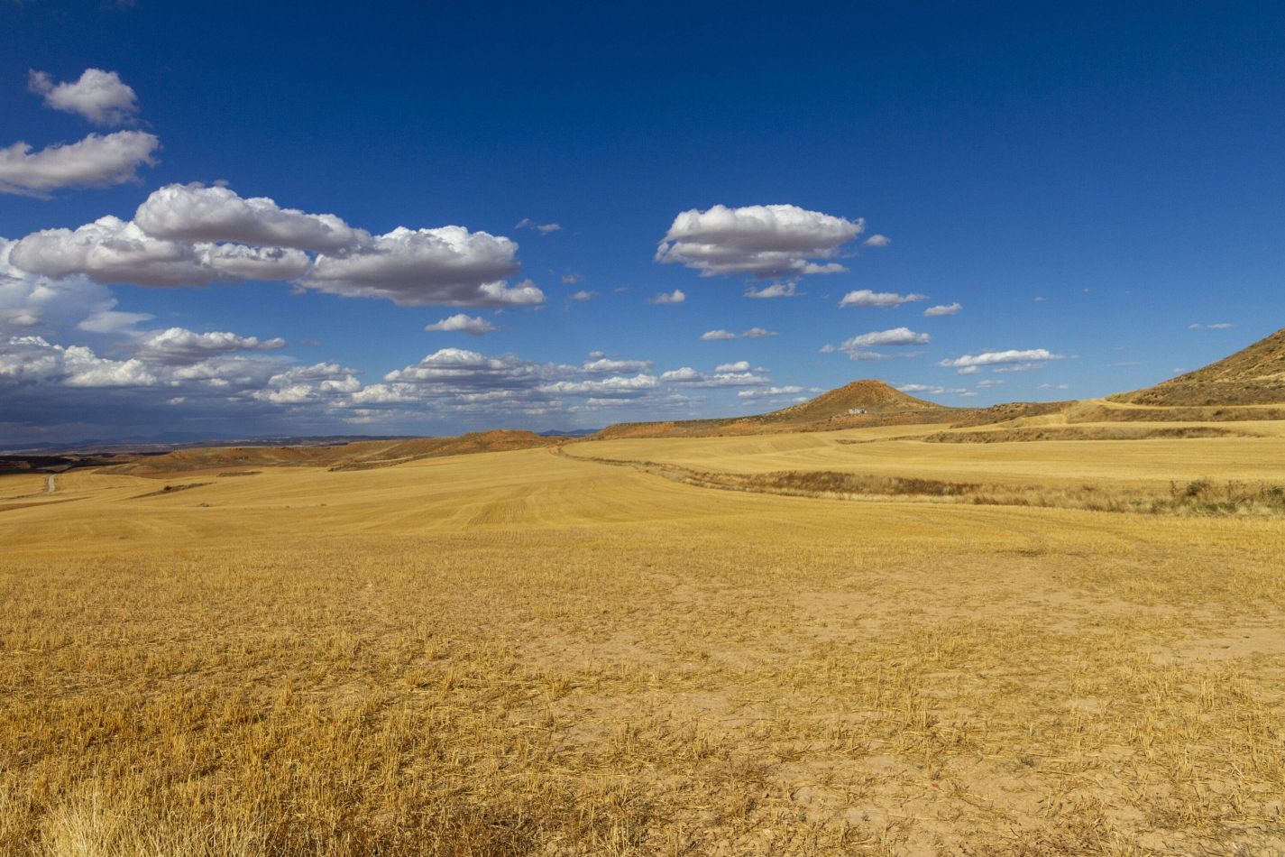 Storvandre: Montuenga