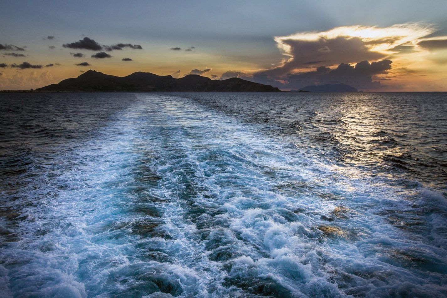 Storvandre: Favignana