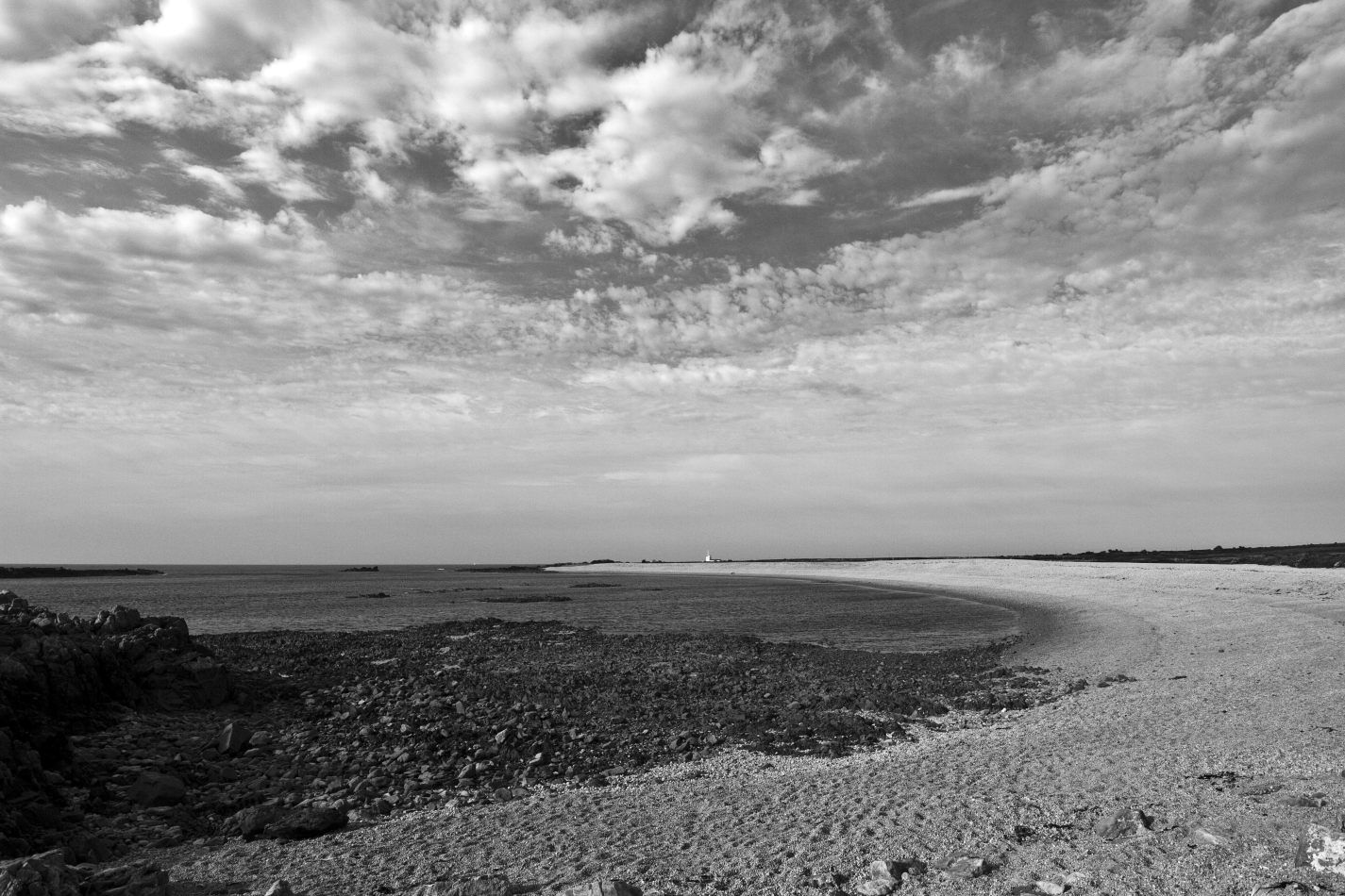 Storvandre: Cap de la Hague