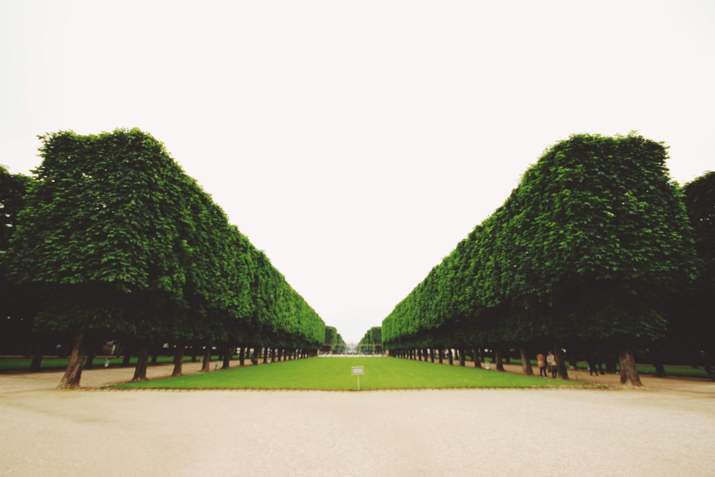 kctamvakisphotography: PARIS