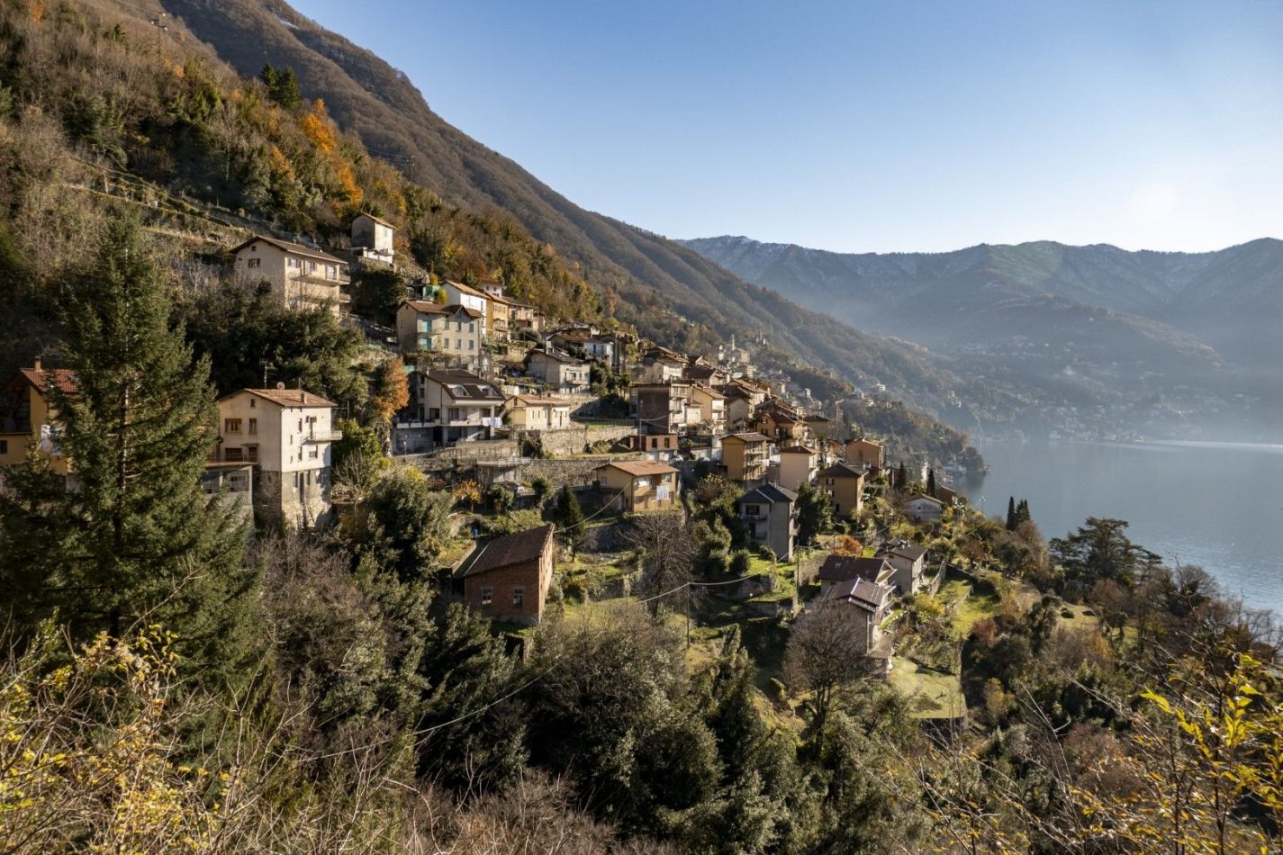 Storvandre: Pognana Lario