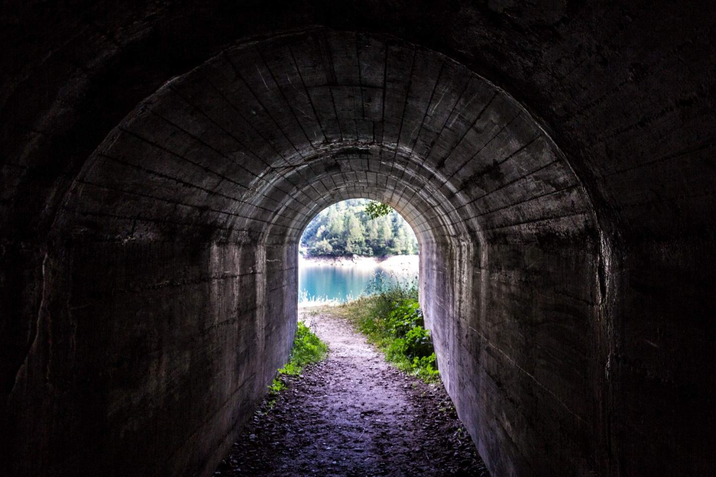 Storvandre: Ritom Lake