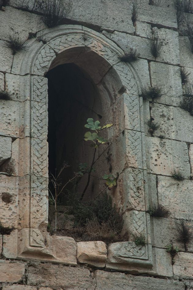 Herbst's portfolio: Syria