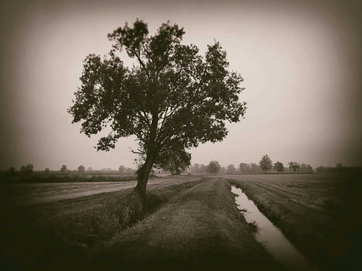 Storvandre: Villanova d Ardenghi