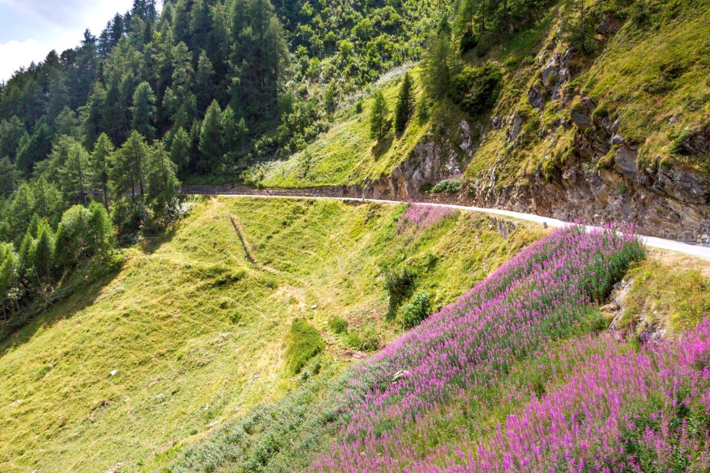 Storvandre: Ritom Lake