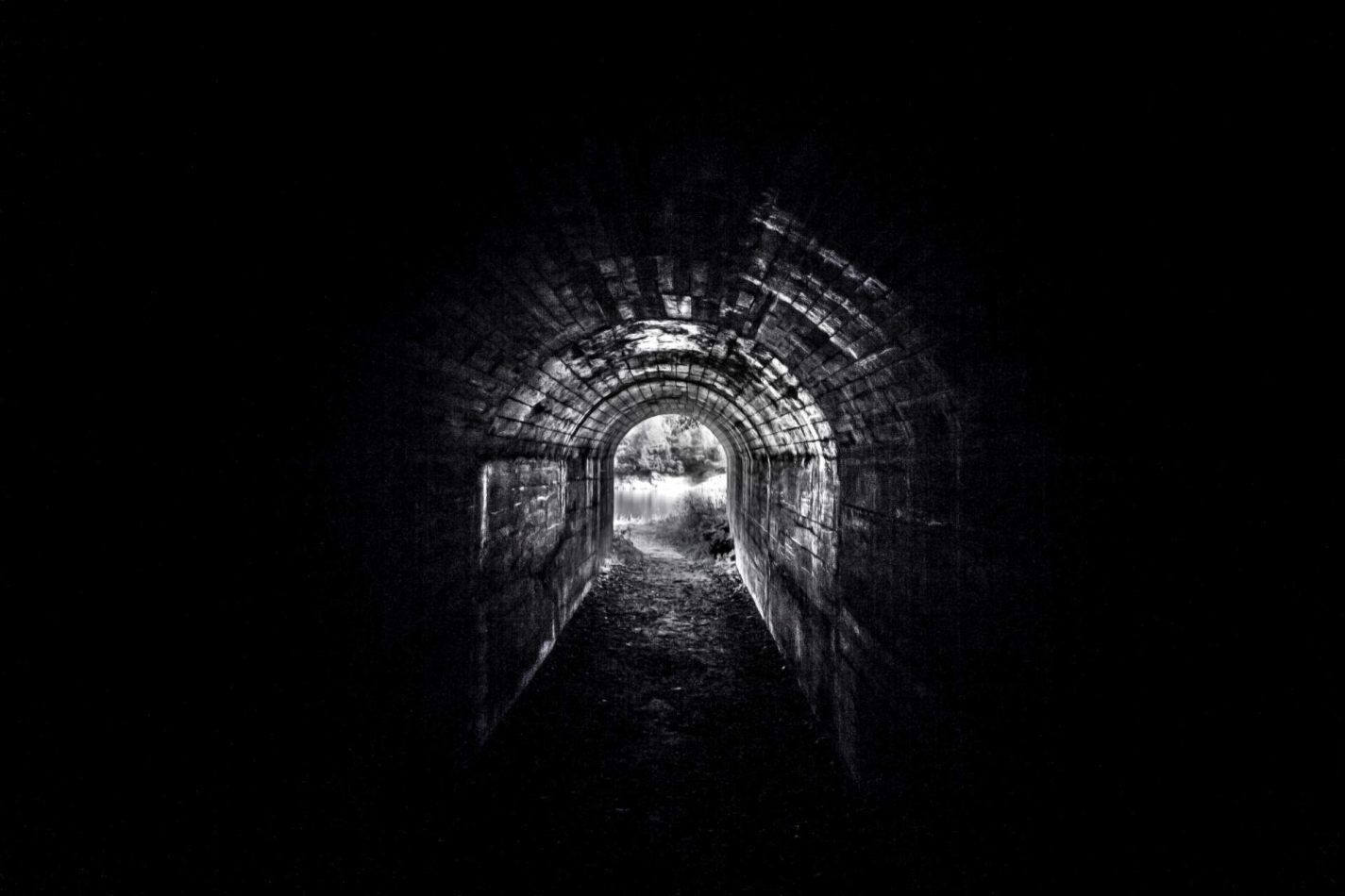 Storvandre: Ritom Lake