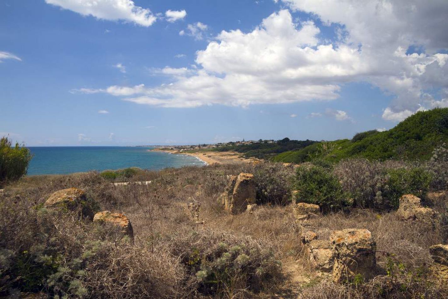 Storvandre: Selinunte