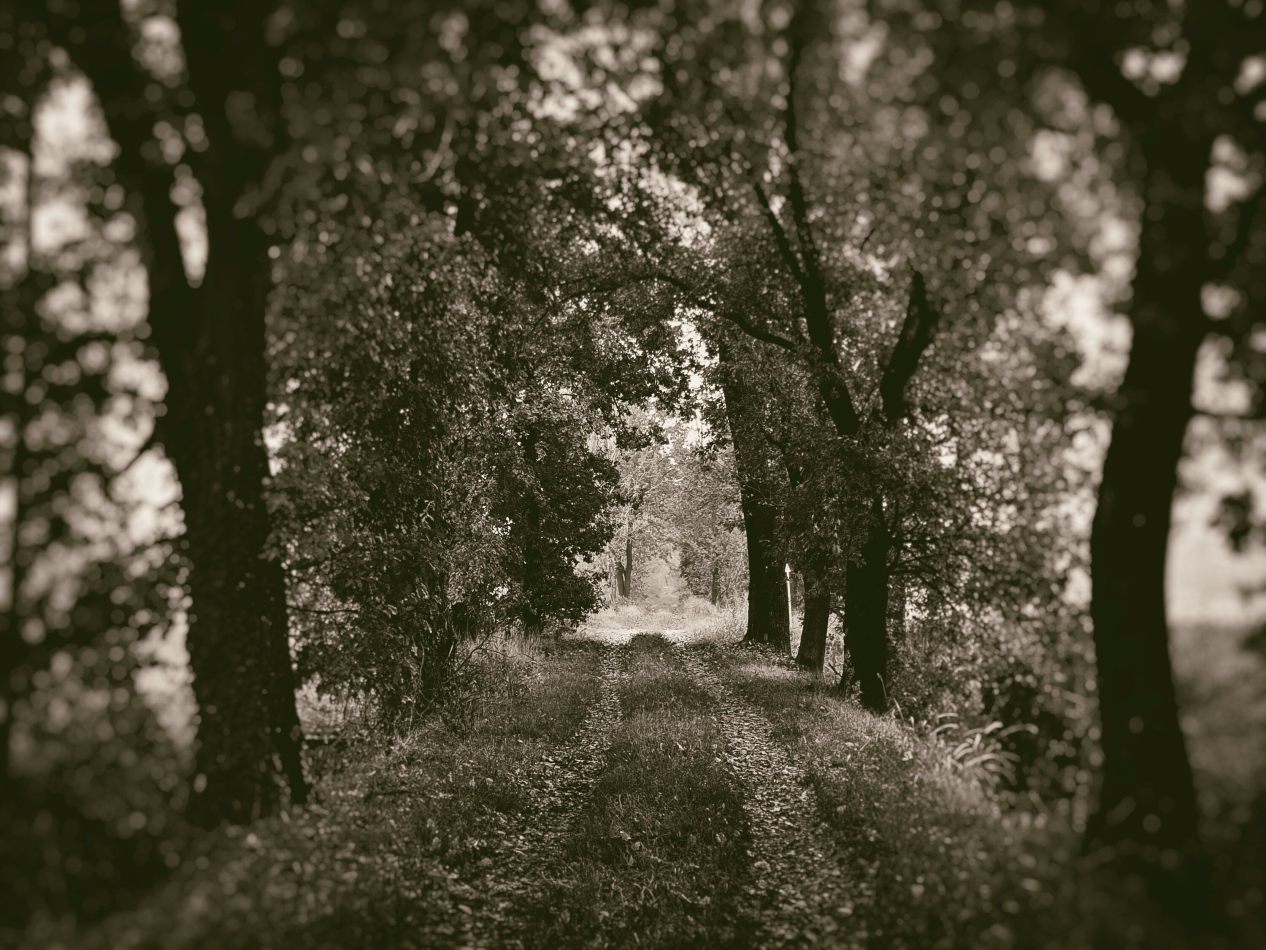 Storvandre: Villanova d Ardenghi