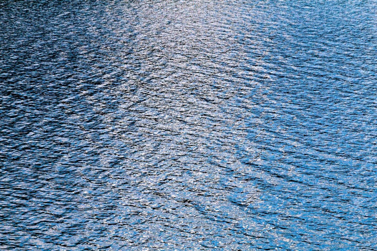 Storvandre: Ritom Lake