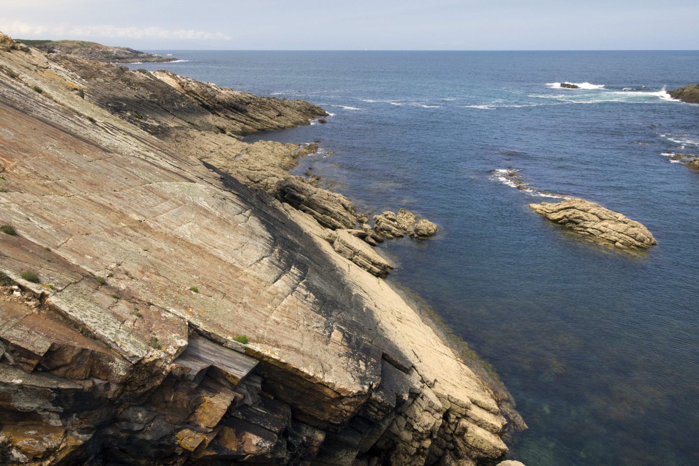 Storvandre: Illa Pancha