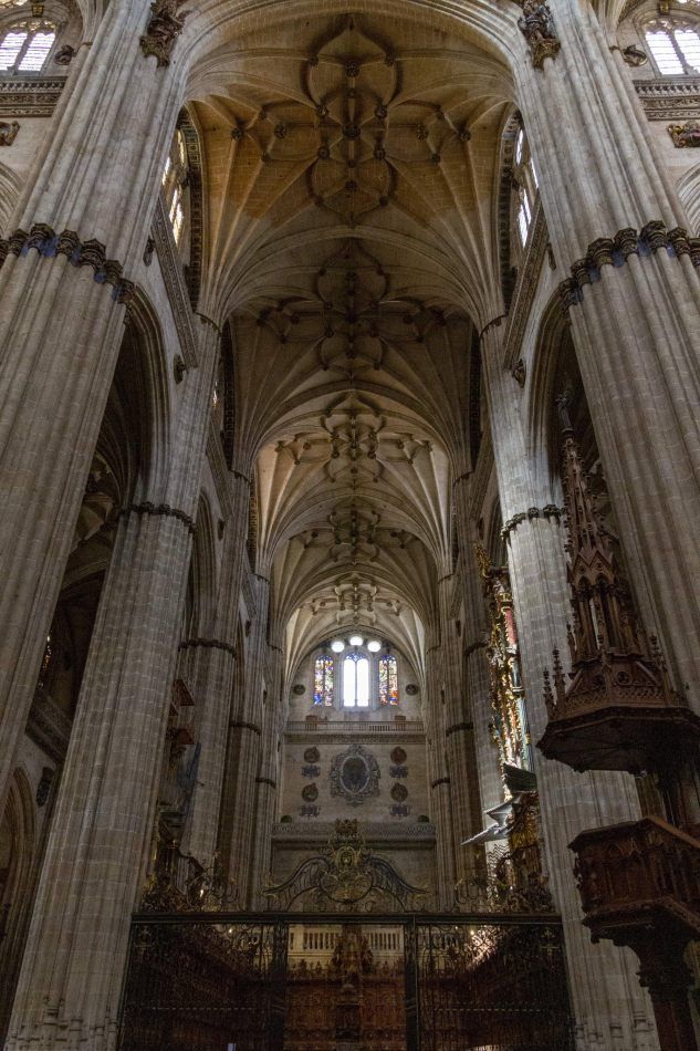 Storvandre: Salamanca