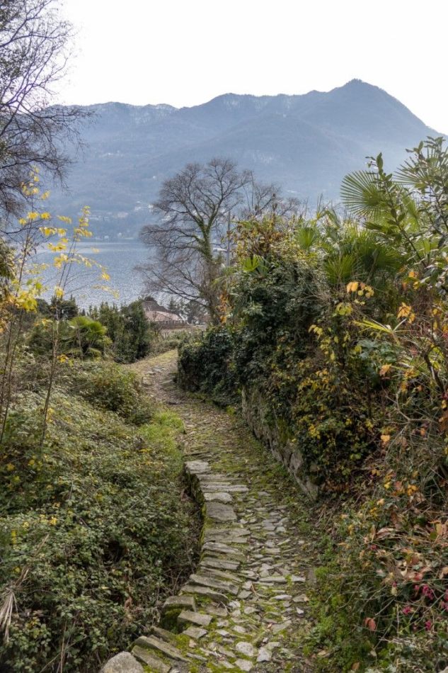 Storvandre: Carate Urio