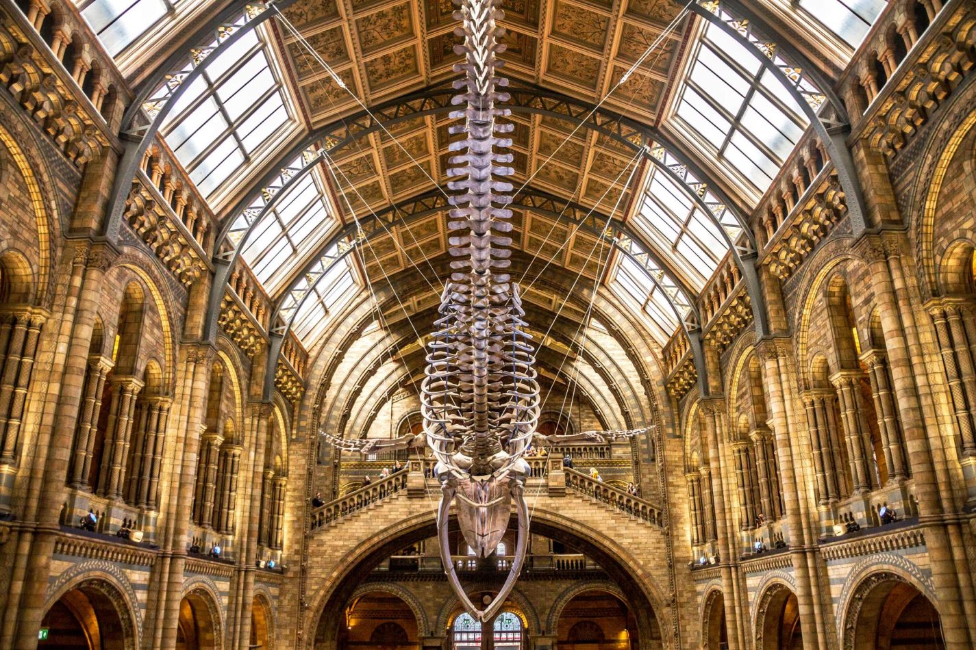 Natural History Museum